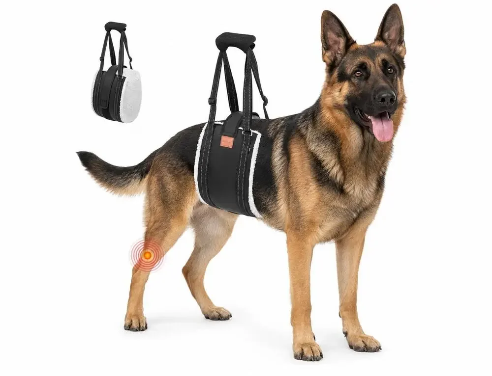 LOOBANI Dog Lift Harness XL Rear Leg Support Sling Hip Arthritis Rehab Aid